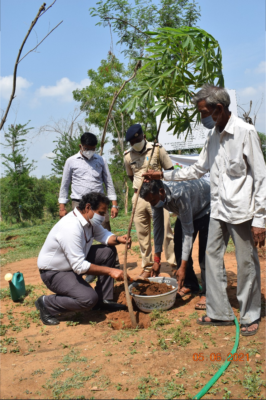 जागतिक पर्यावरण दिनानिमित्त वापी स्थानकावर एनएचएसआरसीएलच्या कर्मचाऱ्यांकडून वृक्षारोपण